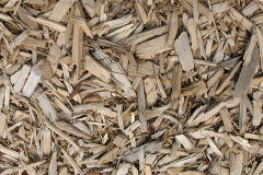biomass boilers Ellerby