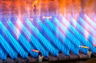 Ellerby gas fired boilers